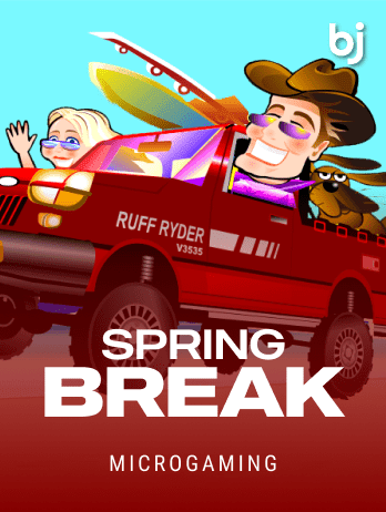 Spring Breakpng game cover